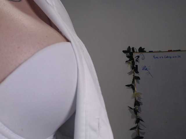 Snímky obrazovky vysielania AdaIson