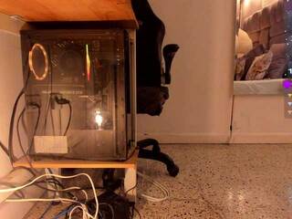 Erotický videohovor amina-west