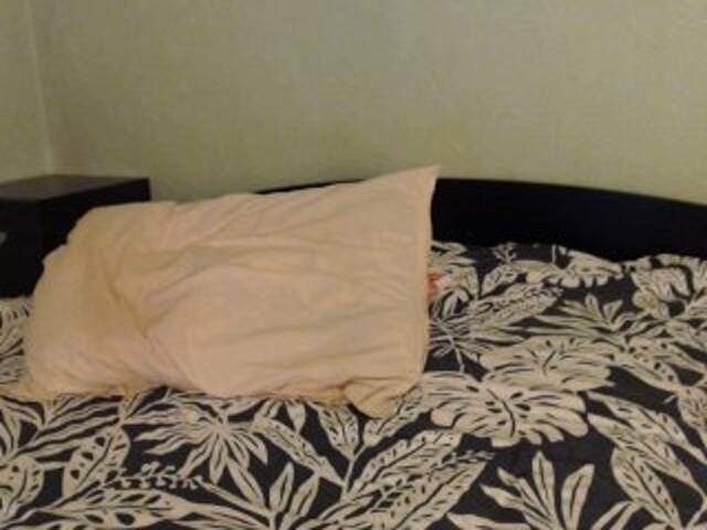 Snímky obrazovky vysielania Alissia_Kiss