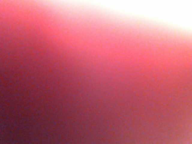 Snímky obrazovky vysielania anawild4you