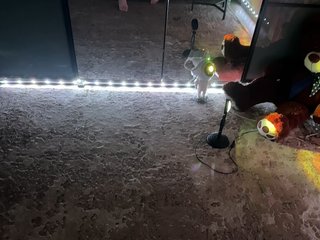 Erotický videohovor -KOCMOC-13