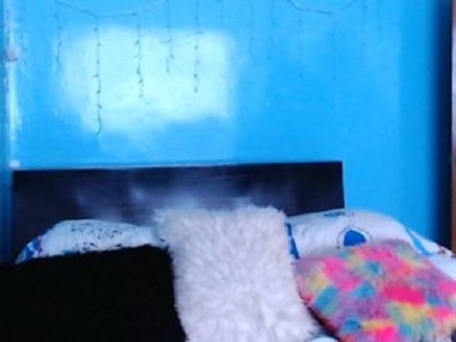 Snímky obrazovky vysielania Courageuse