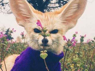 Erotický videohovor Anecka31