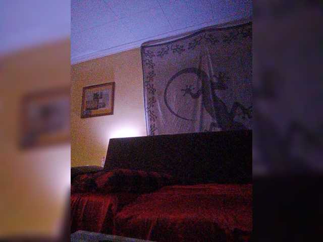 Snímky obrazovky vysielania Doggysx