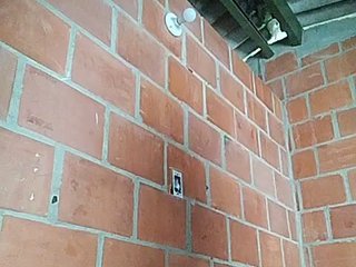 Erotický videohovor EmiliAddams