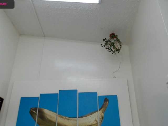 Snímky obrazovky vysielania evaklumm