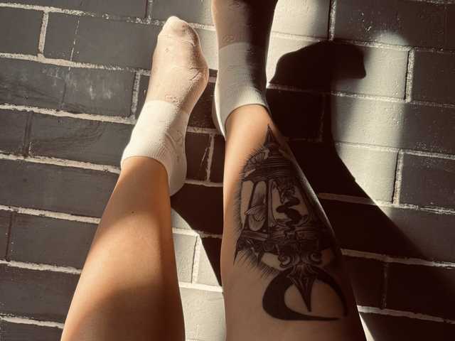 Foto profilu Fox-Paws