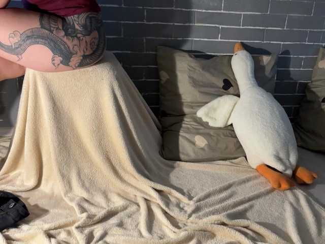 Snímky obrazovky vysielania Fox-Paws