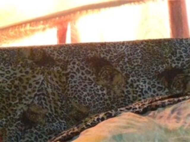 Snímky obrazovky vysielania Grappa01