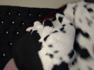 Erotický videohovor Hornyrata