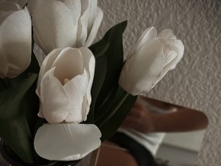 Erotický videohovor ISweetI