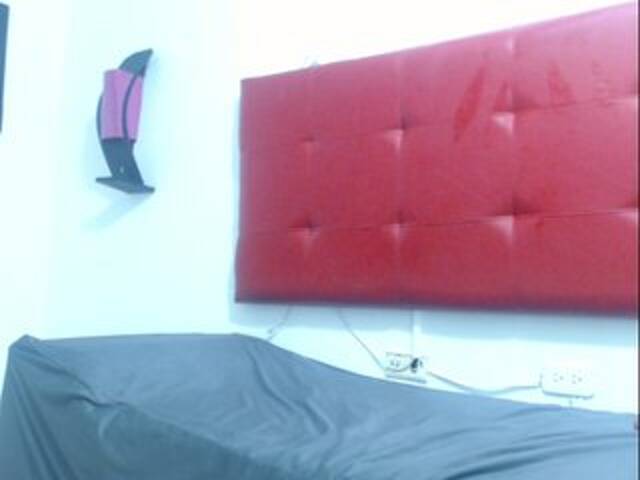 Snímky obrazovky vysielania karinalopes