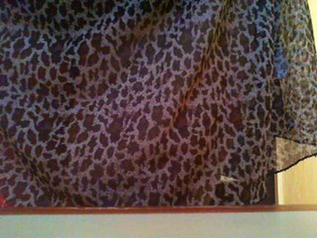 Snímky obrazovky vysielania Alena209