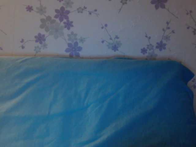 Snímky obrazovky vysielania littledevi