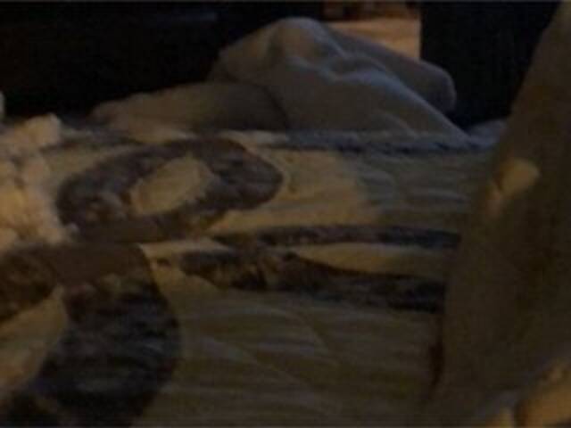 Snímky obrazovky vysielania Littleshorty