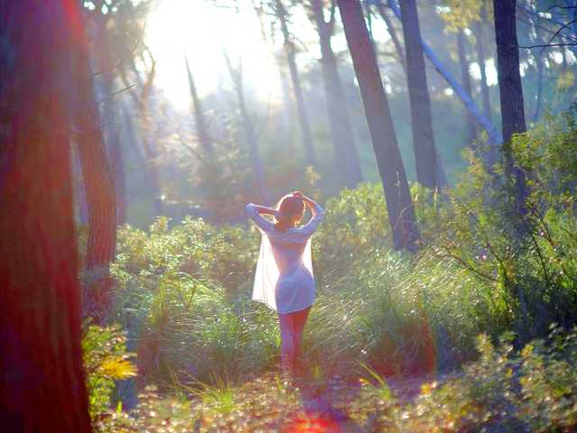 Foto profilu Fiery_Phoenix