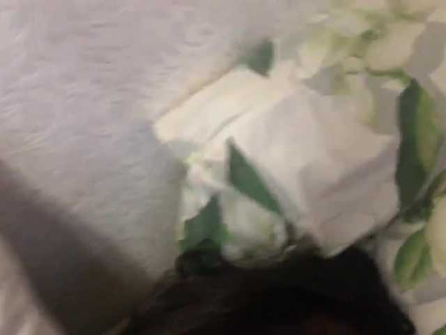 Snímky obrazovky vysielania Martin1utor