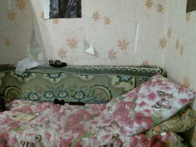 Snímky obrazovky vysielania kar0linaa666