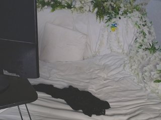 Erotický videohovor ViteR_