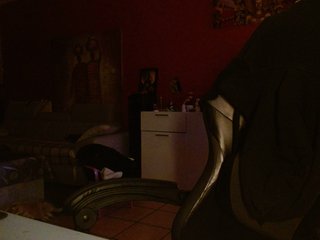 Erotický videohovor Petitoiseaucoquine