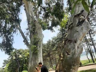 Erotický videohovor PUPI-DEL-REY