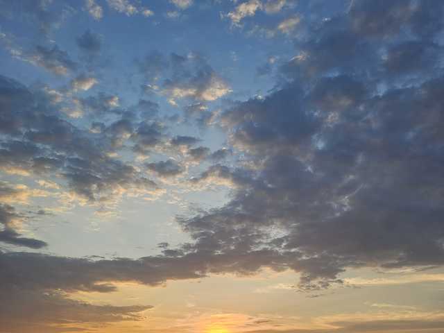 Foto profilu onehumanbeing