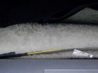 Erotický videohovor sexysapphiresweet