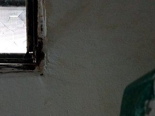 Erotický videohovor shelbyn