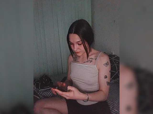 Snímky obrazovky vysielania Stasia533