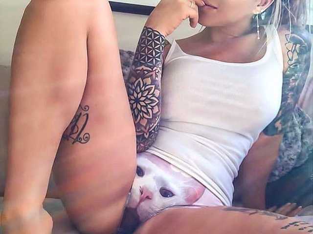 Foto profilu SweetFox