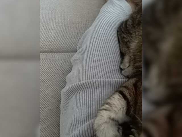 Snímky obrazovky vysielania GolayaPravda