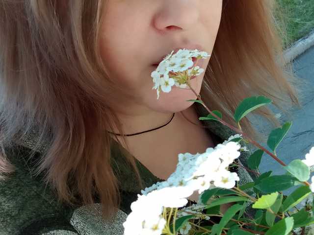 Foto profilu 1BECHA1