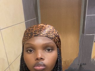 Erotický videohovor Wildcata