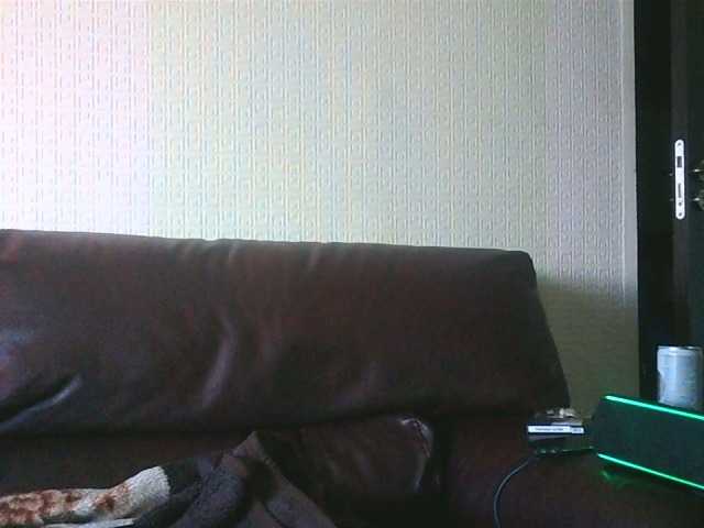 Snímky obrazovky vysielania wildcristy