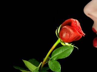 Foto profilu xxsweetlady