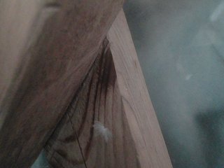 Erotický videohovor YasminaGeil